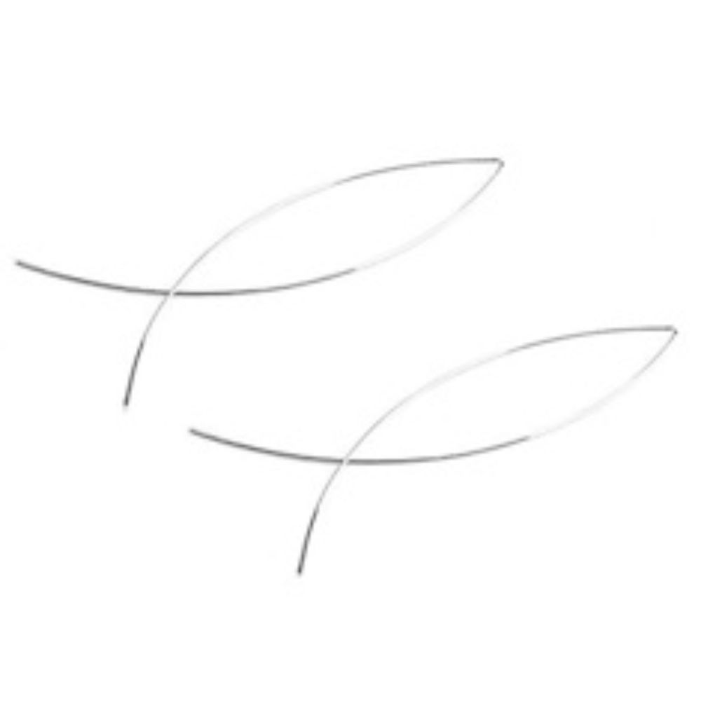 Silver Fish Ghoti Christian Earrings